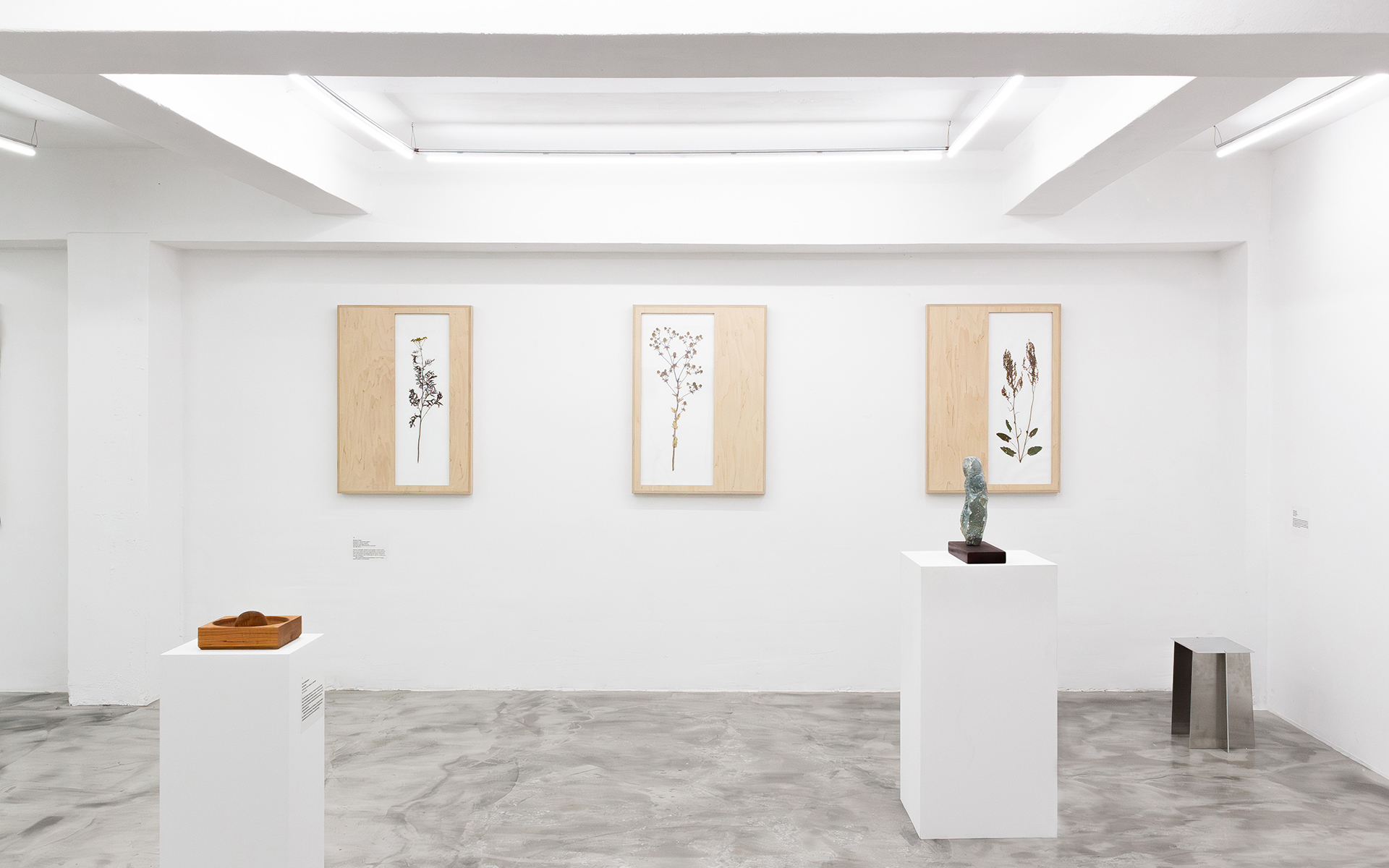 Herbarium