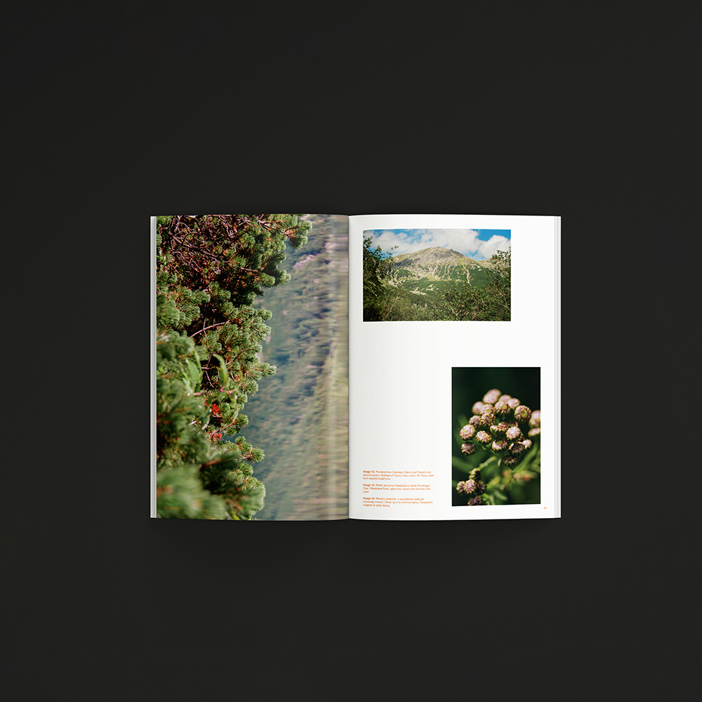 Riconessione Publication 4